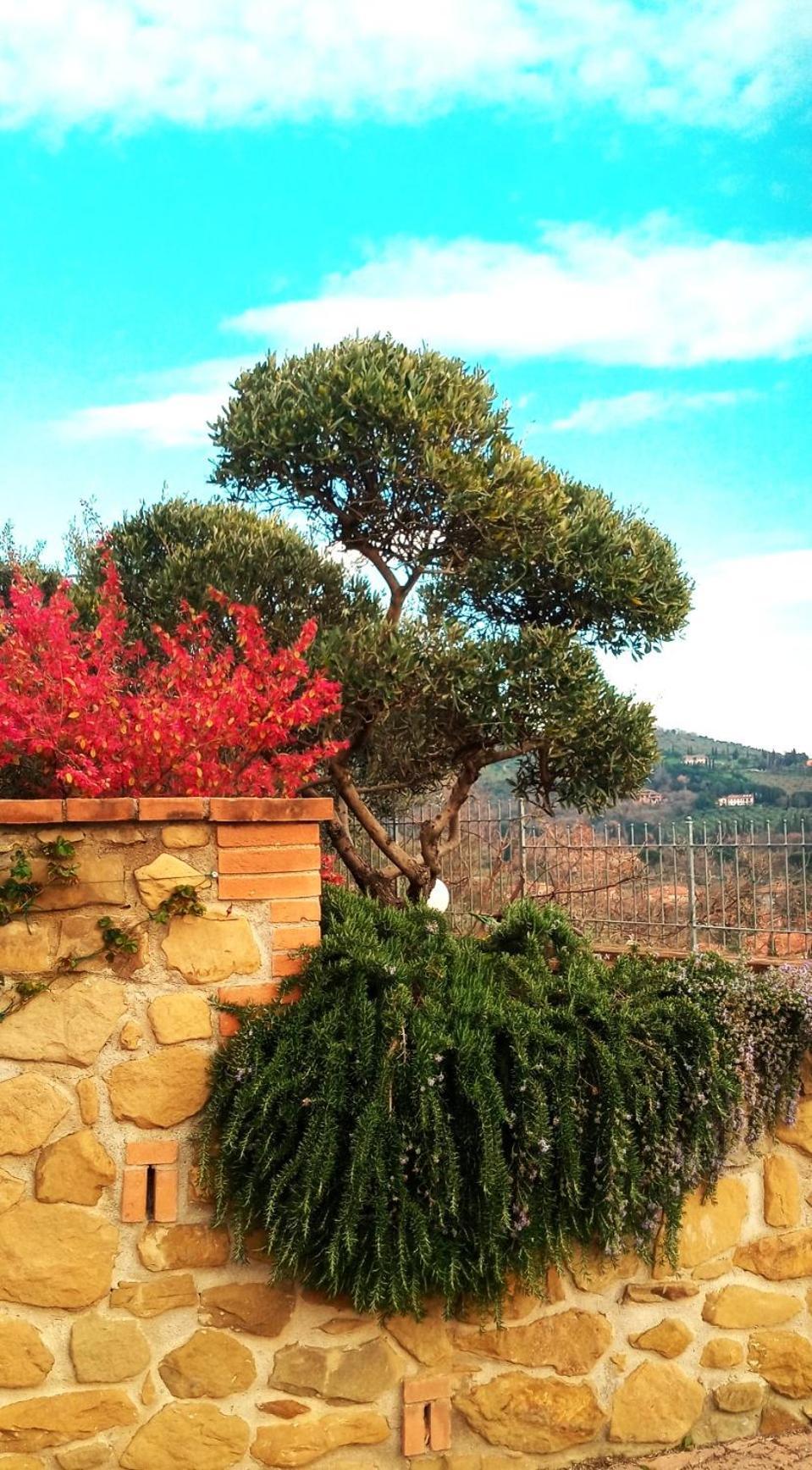 Hotel Olivo Bonsai Passignano sul Trasimeno Exterior foto